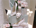 Wedding shoes and lingerie